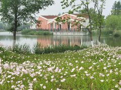 -上海长兴岛郊野公园