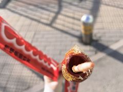 -和禄德冰糖葫芦