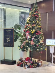 -洁铭新加坡医美