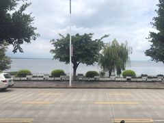 -野菌皇海景野生菌火锅(滨海大道店)
