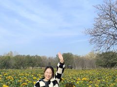 -汉长安城未央宫国家考古遗址公园