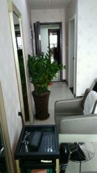 -Art Hair Salon