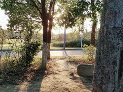 -如皋市龙游湖欢乐世界