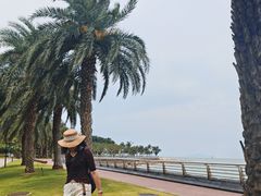 -野狸岛