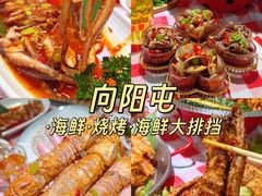 -日照海滨国家森林公园