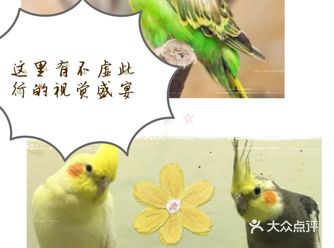 六一遛娃|这里有不虚此行的视觉盛宴!