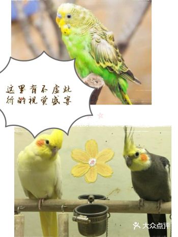 六一遛娃|这里有不虚此行的视觉盛宴!