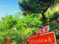 -泰山风景名胜区