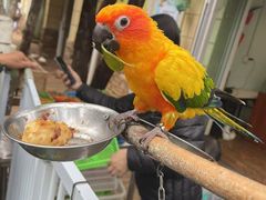 -昆明动物园