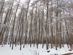 -硗碛藏寨·神木垒景区