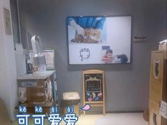 -御宝贝·A梦猫科宠物医院(国际猫友好医院)