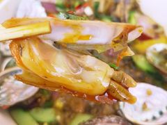 -降龙爪爪(建设路1店)