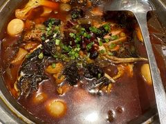 -眉州东坡(北苑华贸店)