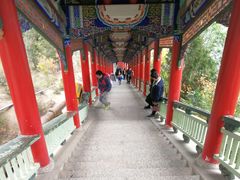 -兰山公园