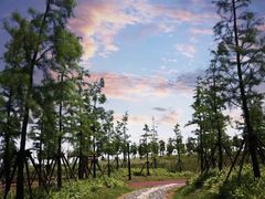 -春花秋色城市公园