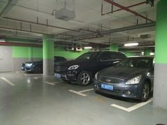 -上海外高桥喜来登酒店-停车场