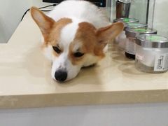 -仁普宠物诊所(住友昌盛新苑店)