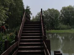 -长兴太湖图影湿地文化园