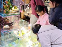 -青石桥花鸟鱼虫市场(叠翠城店)