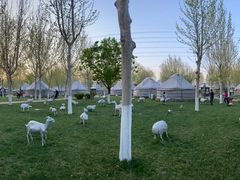 -九十九顶毡房(阜石路店)