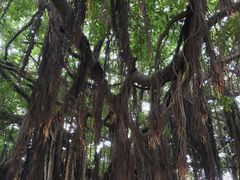 -胡里山炮台