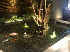 -大渔之观(安贞店)