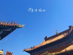 -大召无量寺