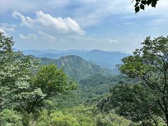 -大岭沟猕猴桃谷风景区