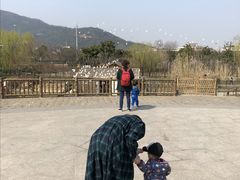 -无锡动物园·太湖欢乐园