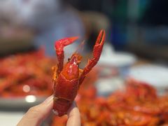 -海岛八号龙虾烧烤田鸡(蓝天路总店)