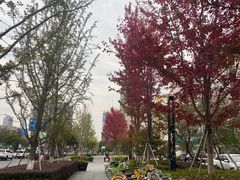 -苏州香格里拉大酒店