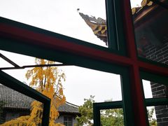 -四川大学(华西校区)