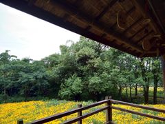 -保利石象湖景区