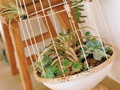 -AHAVA·Fang Baking Studio