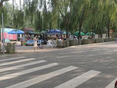 -丁香湖公园