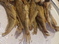 -鸭味飞飞