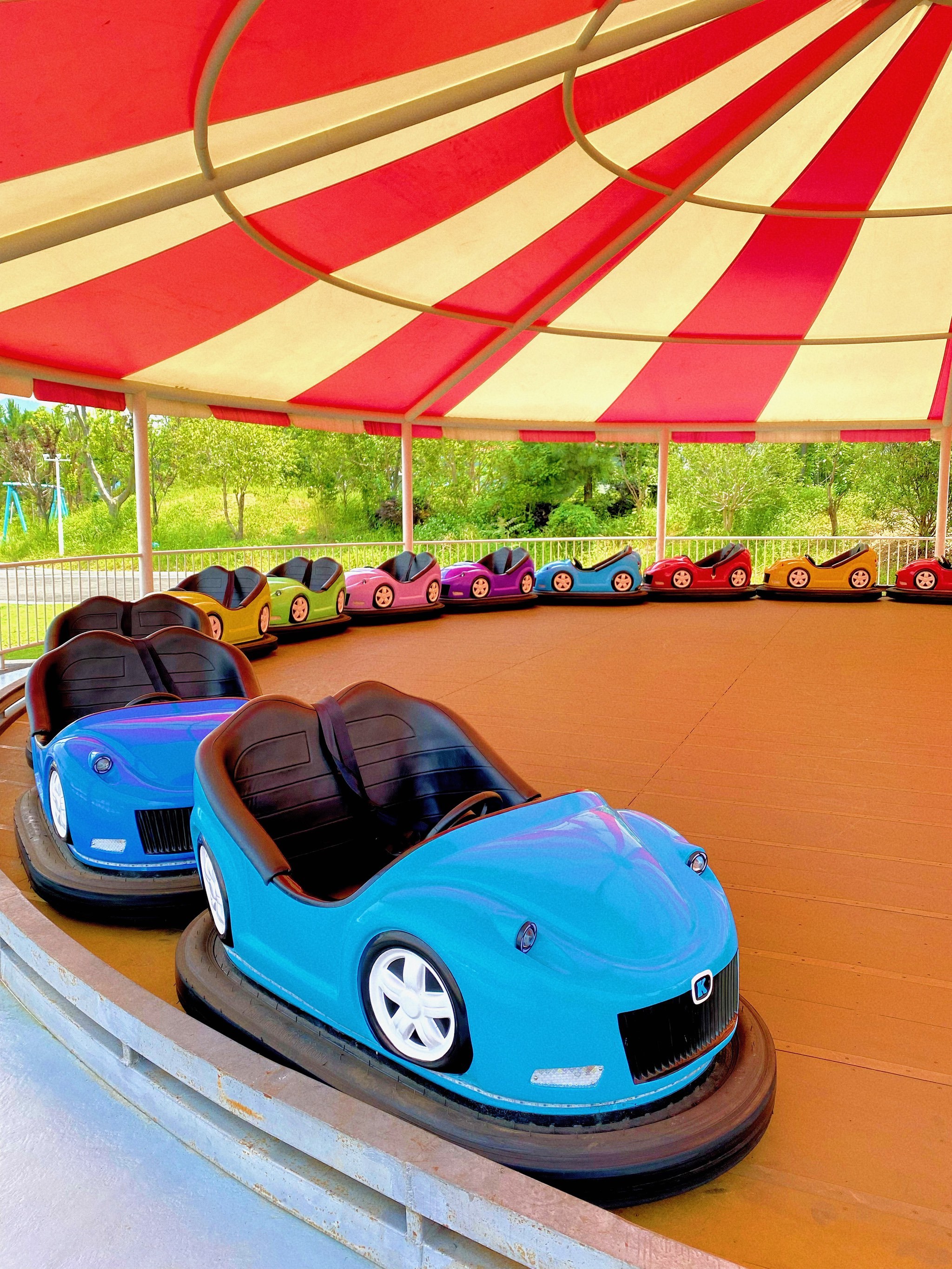 温州新晋遛娃好去处🔥