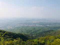 -紫金山天文台