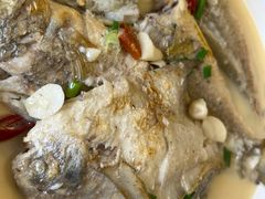 时鲜杂鱼-杨记海鲜楼