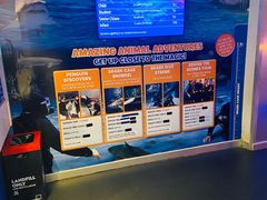 -凯莉-塔尔敦海洋生物水族馆