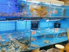 -涌觅名灶·本地海鲜宁波菜(财富广场店)