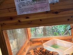 -上海大自然野生昆虫馆