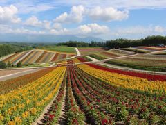 -富田农场