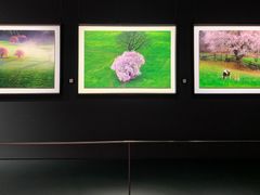 -罗红摄影艺术馆