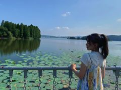-东湖落雁景区