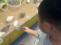 -天虹购物中心(石路店)