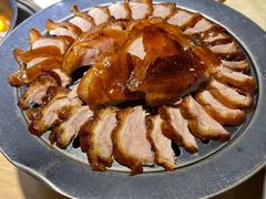 -守柴炉烤鸭(科华中路王府井店)