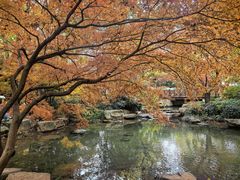 -中国茶叶博物馆(双峰馆区)