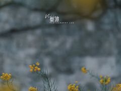 -婺源风景区