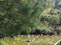 -千岛湖东南湖区